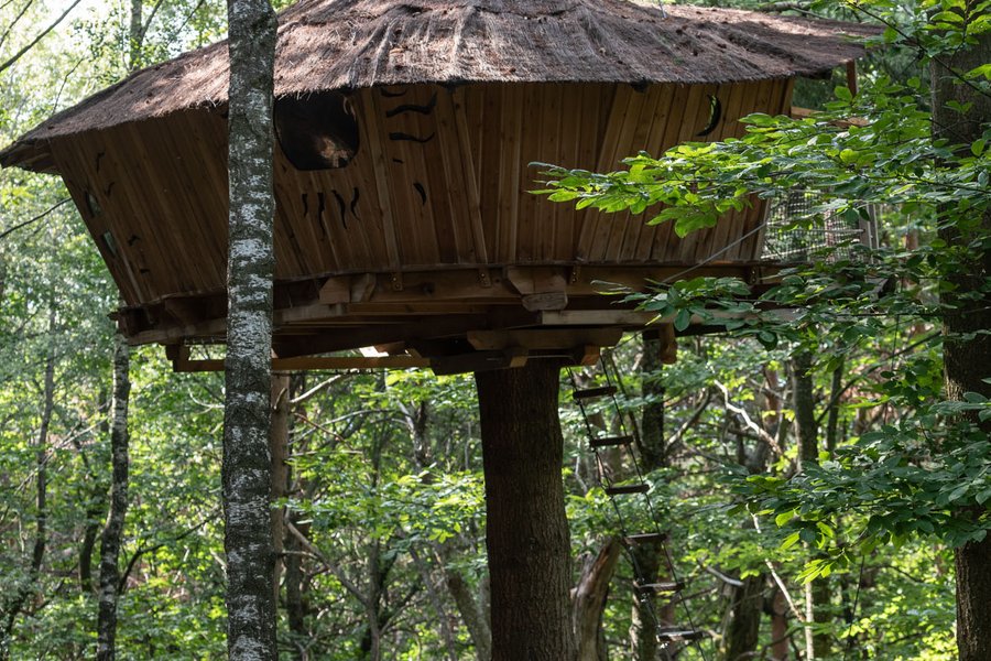 Cabane Hibou — photo 2