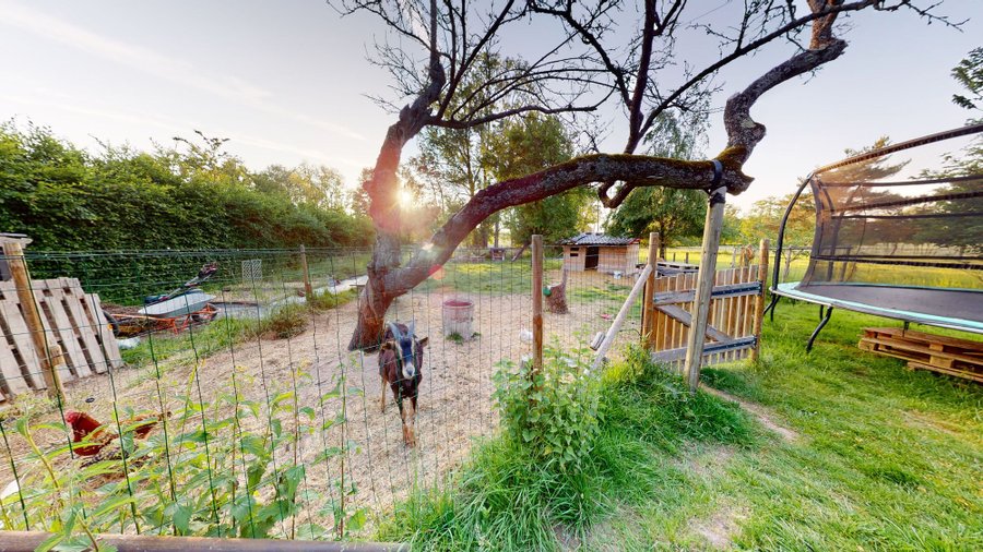 Domaine AbracadaRoom : Le Souffle du Saule - Image 18