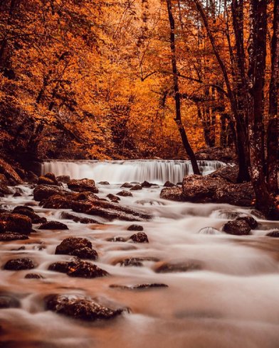 Domaine AbracadaRoom : Les Cabanes du Hérisson - Image 9