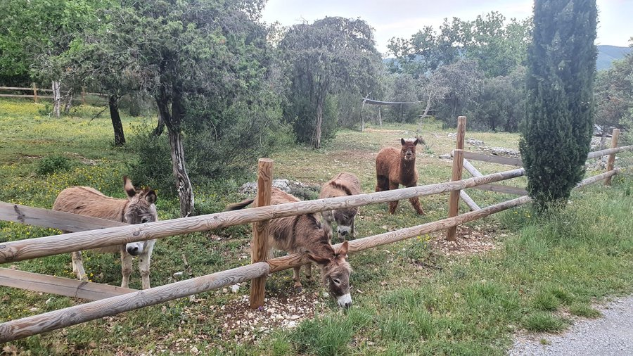Hébergement AbracadaRoom : Suite Nid d'Amour et Spa - Image 26