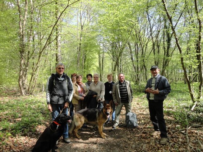 Domaine AbracadaRoom : Les Etangs du Moulin - Image 4