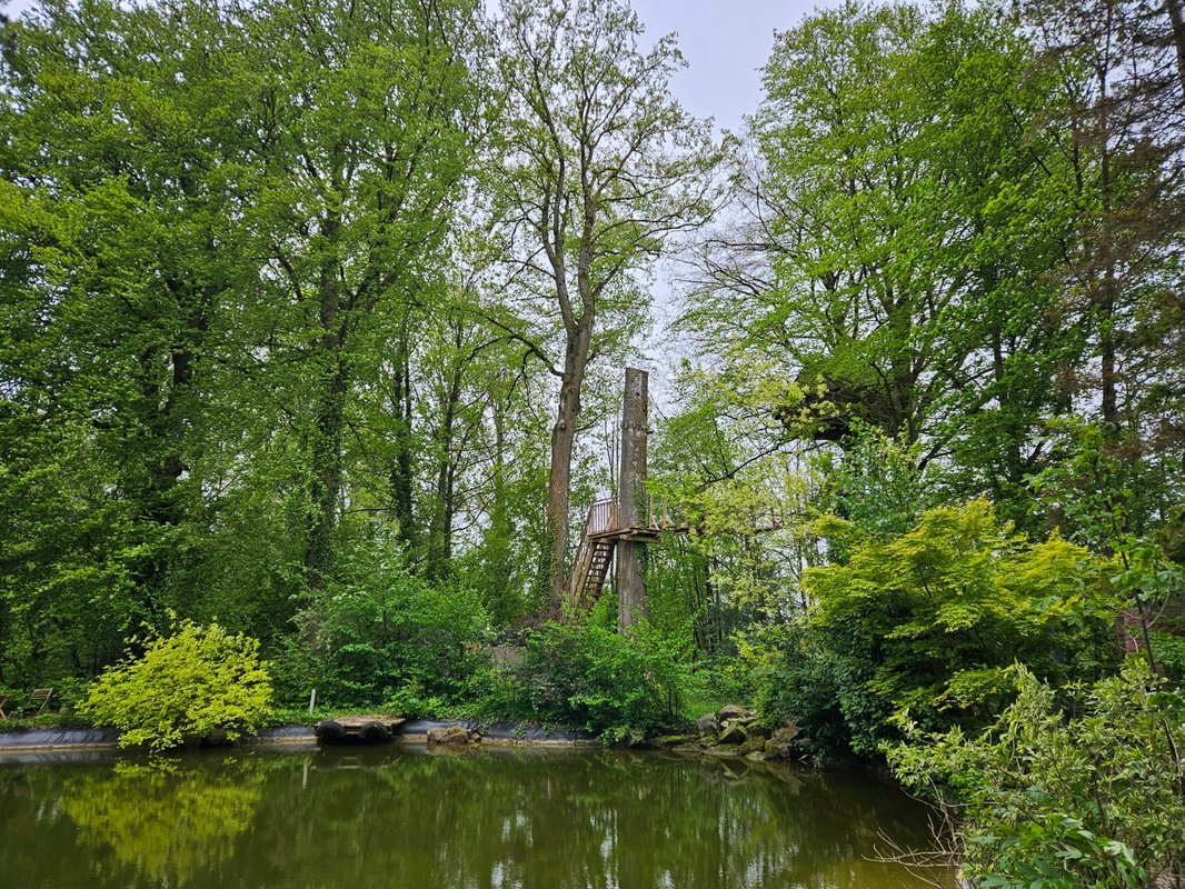 La cabane Haut-Perchée & Spa à Wail (16)
