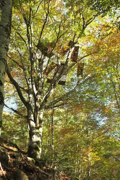 nuit perchée en hamac