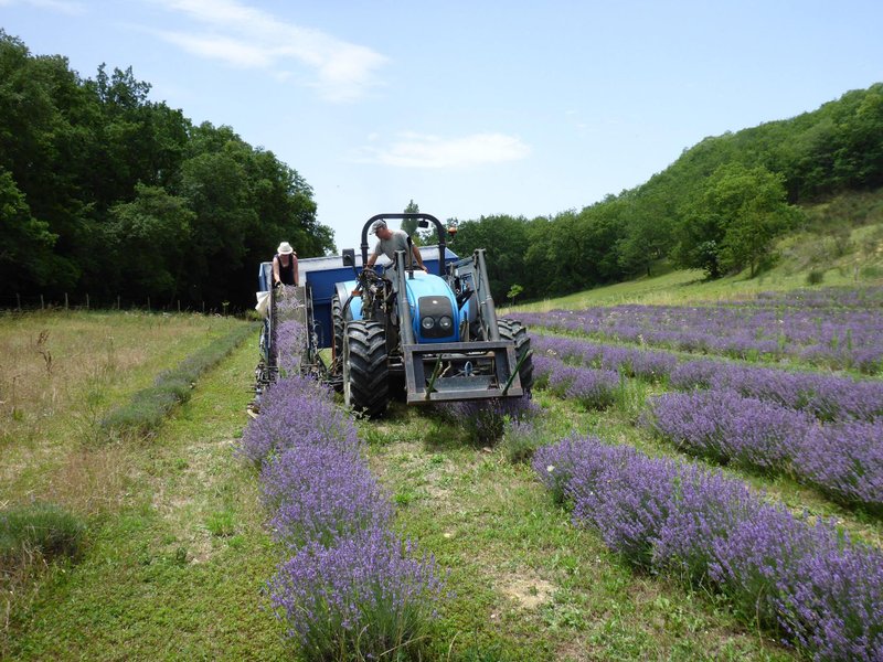 Domaine AbracadaRoom : La Ferme du Hitton Gers - Un Lit au Pré ( à supprimer) - Image 3