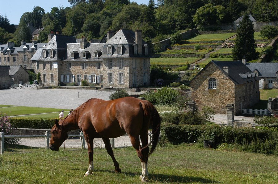 Domaine AbracadaRoom : Les Forges des Salles - Image 4