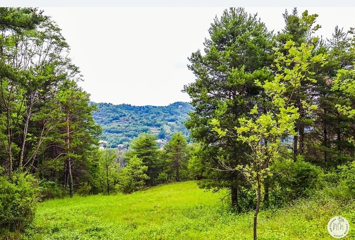 Hébergement AbracadaRoom : Bubble Dream - Image 11