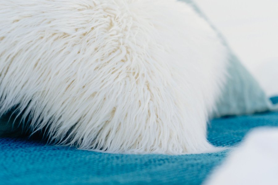 Domaine AbracadaRoom : Somn'en Bulle - Image 31