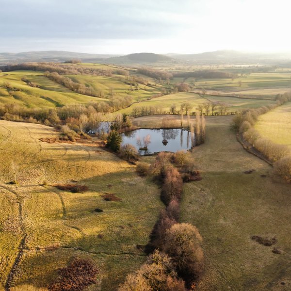 Domaine AbracadaRoom : Cabanes sur Pilotis - Image 2