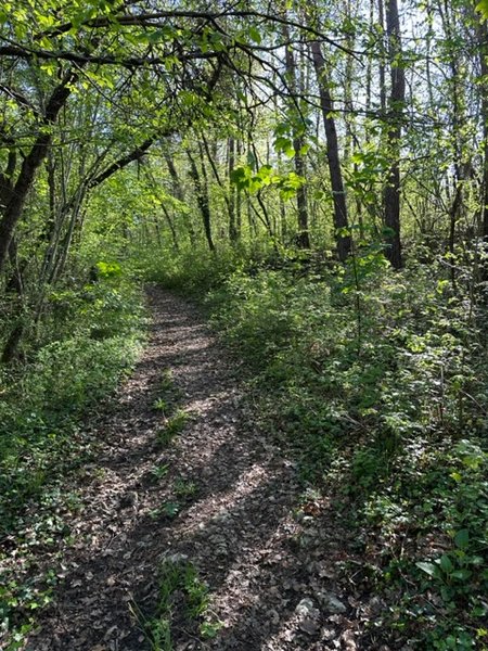 Domaine AbracadaRoom : Paley de l'éden - Image 12