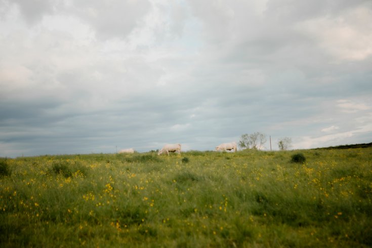 Domaine AbracadaRoom : Tomette Singulière - Image 3