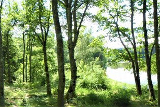 Domaine du Balbuzard