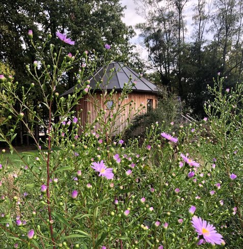 Hébergement AbracadaRoom : Le P'tiot Utau - Image 10