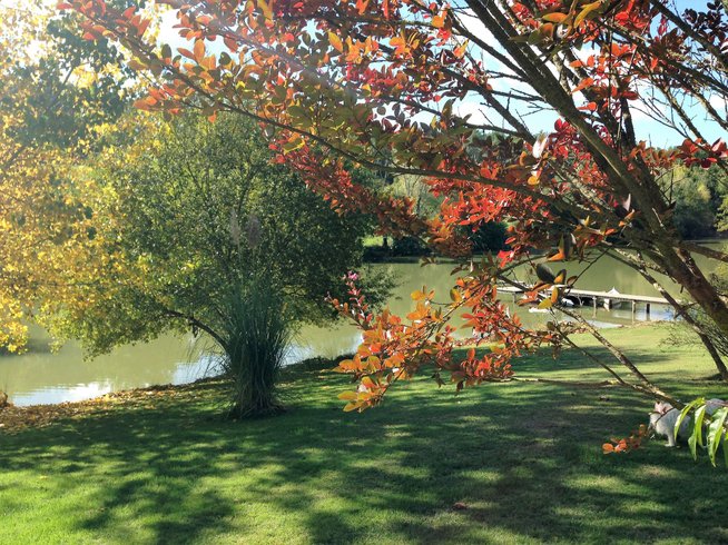 Domaine AbracadaRoom : Lac Appaloosa - Image 11