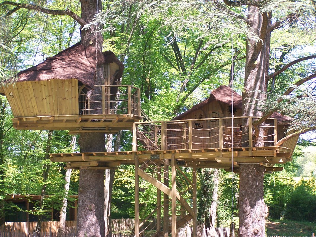 Cabane des Ouistitis à Magné (1)