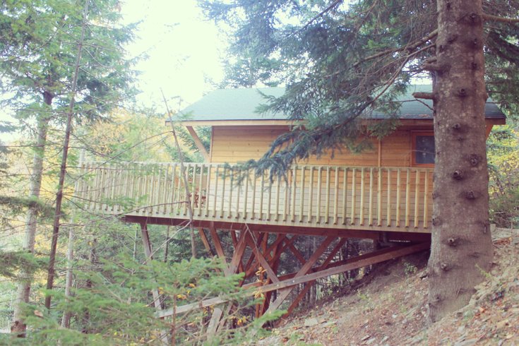 Hébergement AbracadaRoom : Cabane Séquoia 2 - Image 1