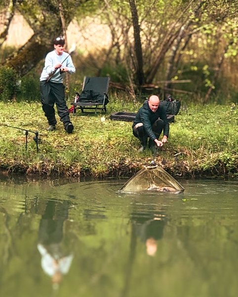 Hébergement AbracadaRoom : La Cabane du Héron, lodge sur pilotis, étang, nature, biodiversité - Image 33