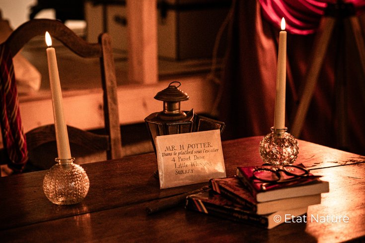 Hébergement AbracadaRoom : Le gîte Harry Potter - Image 2