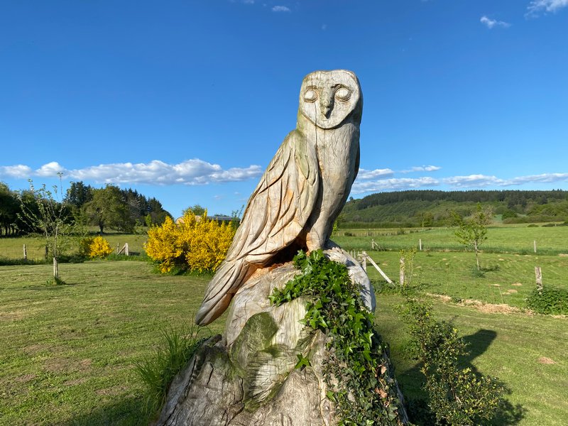 Domaine AbracadaRoom : Les terres de la chouette - Image 10
