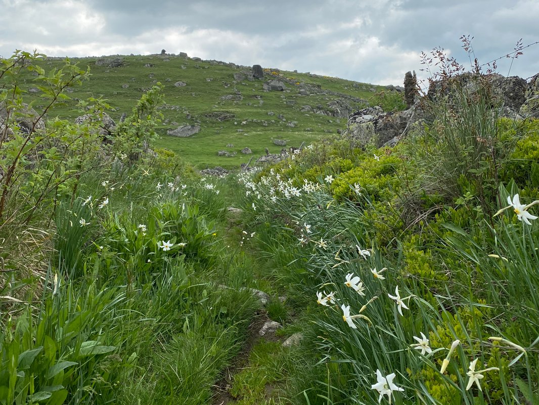 Buron Cœur d’Aubrac à Marchastel (17)