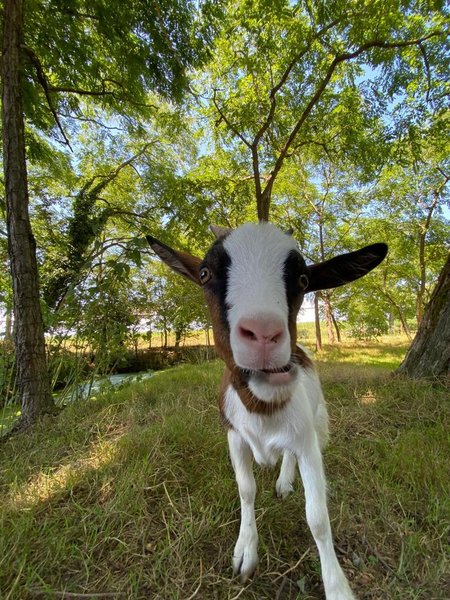 Domaine AbracadaRoom : Dans ma bulle - Image 3