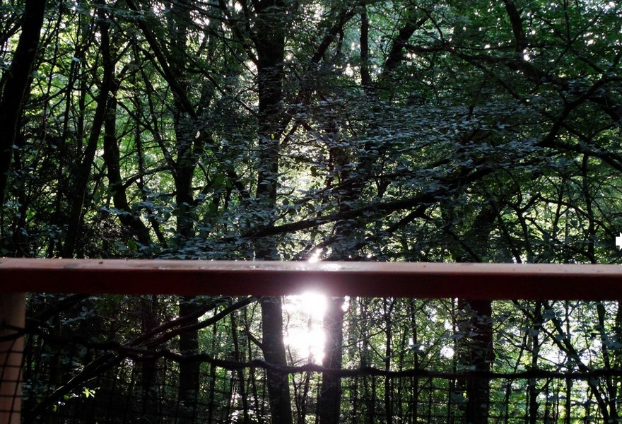 Hébergement AbracadaRoom : Clairière - Image 14