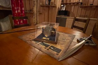 Maison de hobbit Alpes-Maritimes