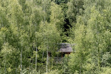 Cabane Spa Souffle d'Emeraude à St-Léger-Aux-Bois (2)