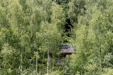 Cabane Canadienne Spa Souffle d'Emeraude à St-Léger-Aux-Bois (2)