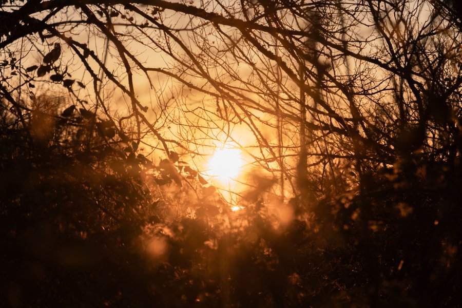 Domaine AbracadaRoom : Homnest (Billy) - Image 15