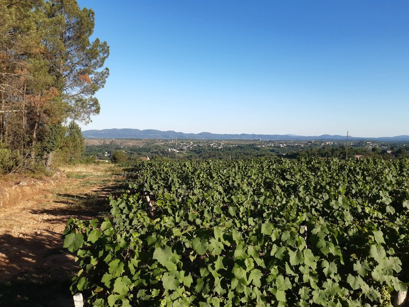 Domaine AbracadaRoom : Camping du Vignal - Image 5