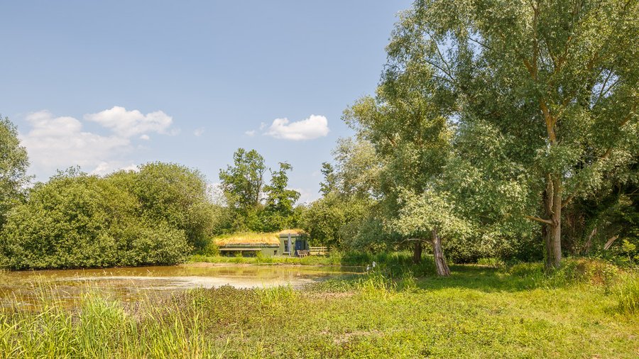 Hébergement AbracadaRoom : Maison des oiseaux - Image 2