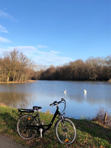 Hébergement AbracadaRoom : Le P'tiot Utau - Image 27