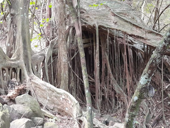 Hébergement AbracadaRoom : Ti Kaz Anoli - Image 12