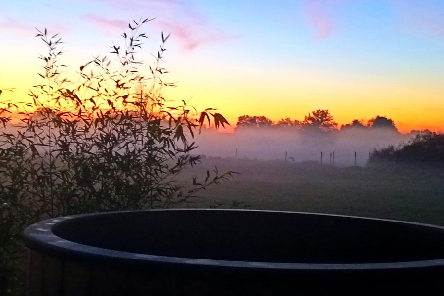 Dôme Shizen — photo 2