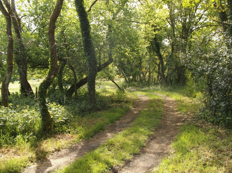 KABANETIK_Abracadaroom_acces_a_la_yourte