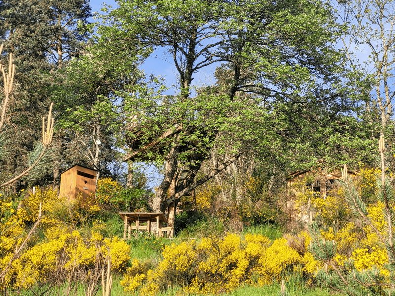 Hébergement AbracadaRoom : Le Nid, perché à la cime de l'arbre - Image 9