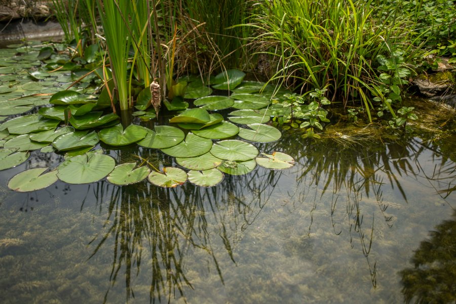 Domaine AbracadaRoom : Domaine de Puybeton - Image 15