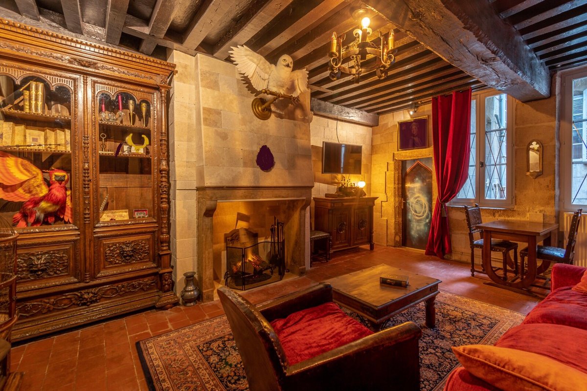 Appartement du sorcier Immersif et mémorable & Parking à Dijon (1)