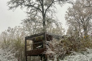 Cabane dans les arbres Indre-et-Loire