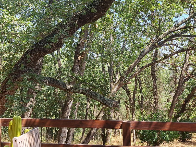 Domaine AbracadaRoom : Chalet de Sandrine - Image 1