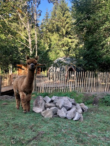 Domaine AbracadaRoom : Ferme Jean des Houx - Image 10