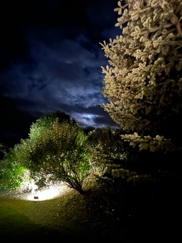 Hébergement AbracadaRoom : Bulle d'Ousse - Image 33