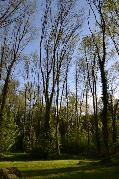 Domaine AbracadaRoom : Natur'Bulle - Image 6