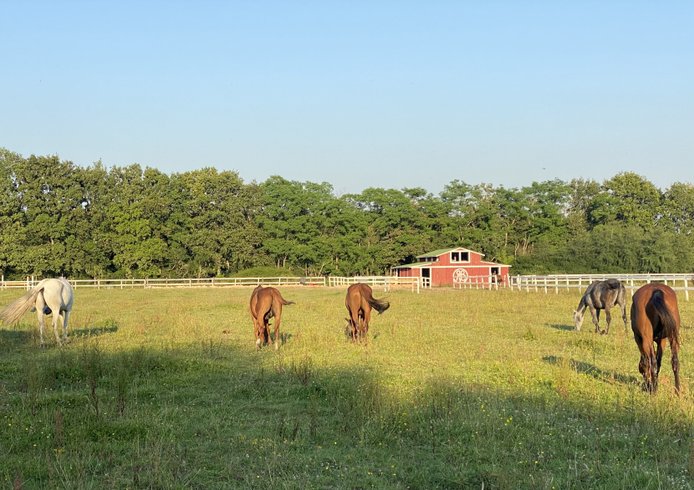 Domaine AbracadaRoom : Red barn - Image 17