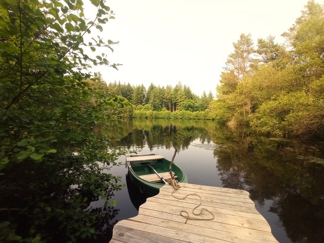 Domaine AbracadaRoom : Le bois des Nenuphars-Gite insolite - Image 1