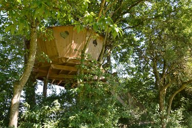 Cabane Des Cartes à La Baconnière (1)