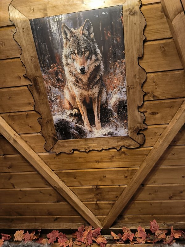 Le refuge de la mare aux loup à Rosporden (8)