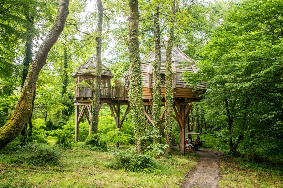 Hébergement AbracadaRoom : La Cabane la Vigne & Spa - Image 2