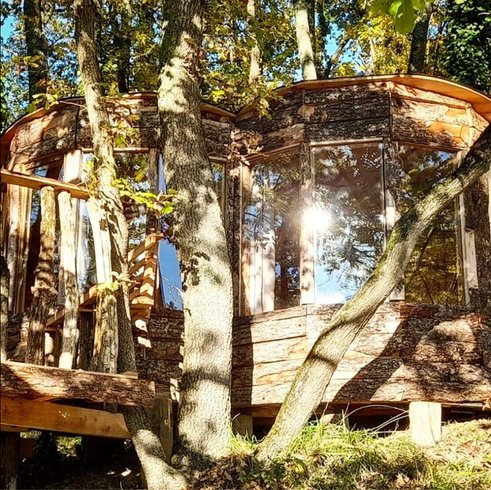 Domaine AbracadaRoom : Les Cabanes Nid'Amour - Image 6