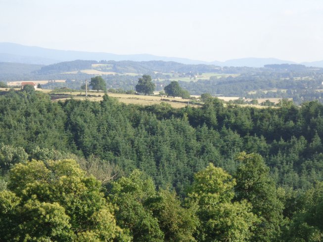 Domaine AbracadaRoom : Le Jardin de Kym - Image 7